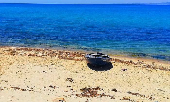 Hammamet fakultatív