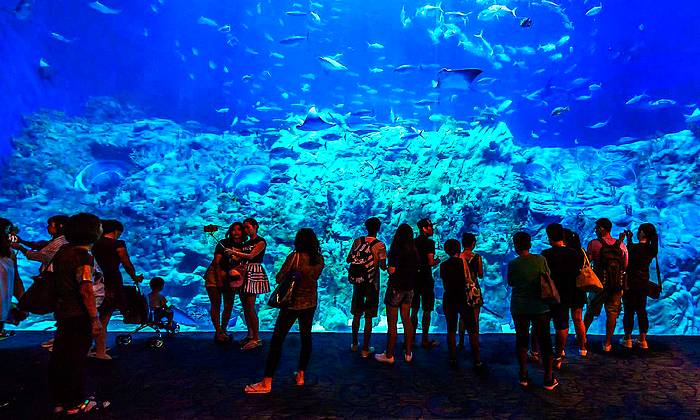 Hurghada Grand Aquarium