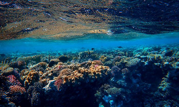 Makadi Bay búvárkodás