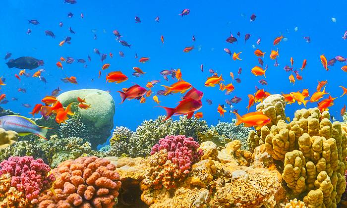 Hurghada merülőhelyek