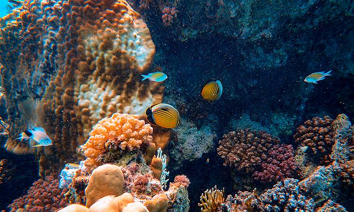 Mexikó, Cancún búvárkodás