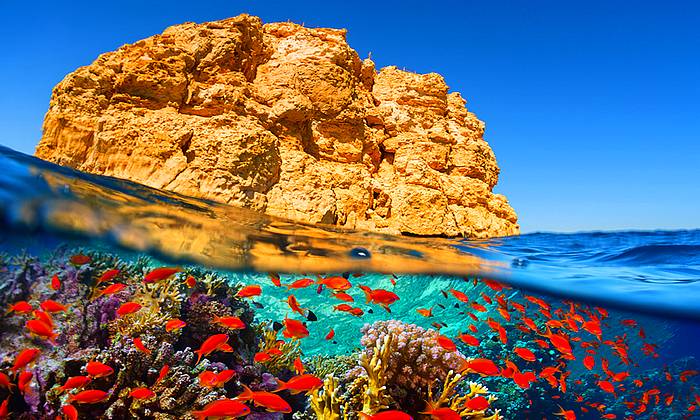 Sharm El-Sheikh Ras Mohamed