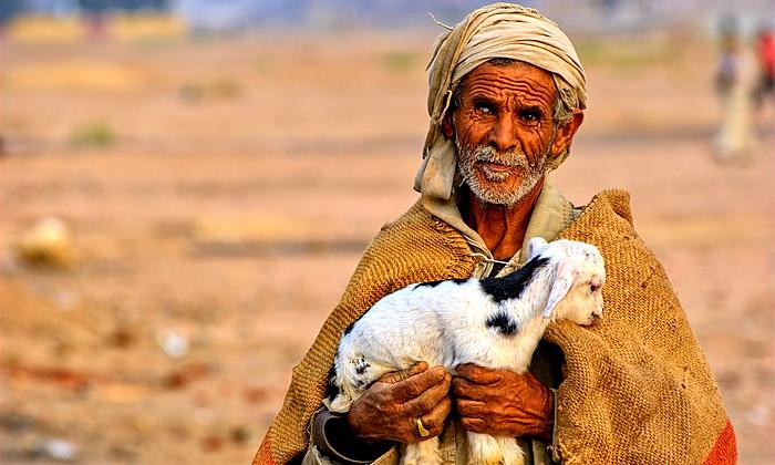 Sharm El-Sheikh beduinok