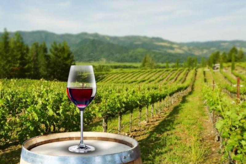 Bordeaux csoportos városlátogatás