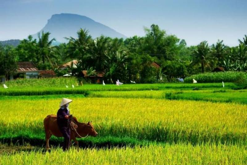 Vietnam és Kambodzsa felfedezése, thaiföldi trópusi pihenéssel szilveszterkor