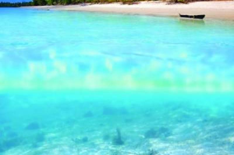 Serengeti szafari program pihenéssel Zanzibár szigetén