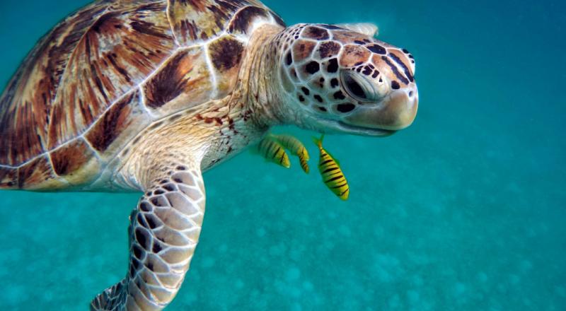 Felfedezőúton Katarban pihenéssel a Maldív-szigeteken