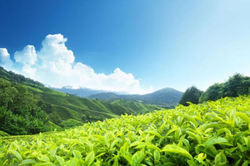 Kalandozás Szingapúrban és Malajziában pihenéssel Langkawi szigetén 2024