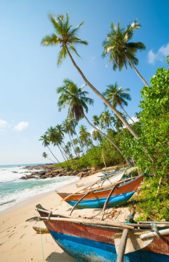 Nyári élmények Srí Lankán - csoportos körutazás tengerparti pihenéssel 2024. július 3-16.