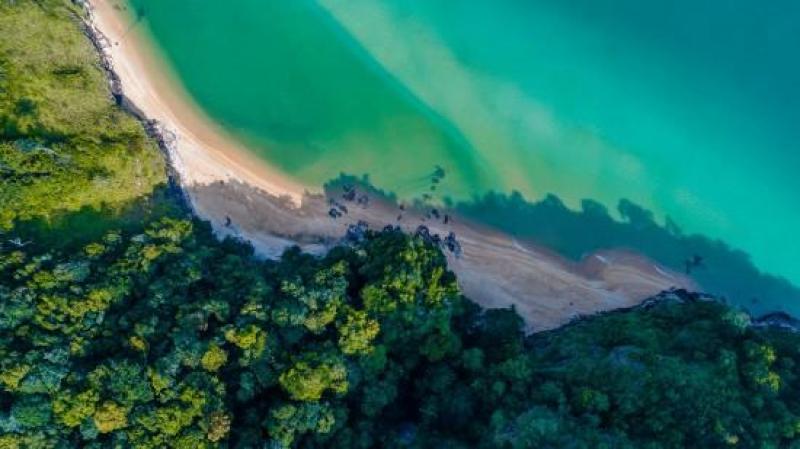 Tengerparti nyaralás Tioman trópusi szigetén, Kuala Lumpur-i és szingapúri látogatással 2023