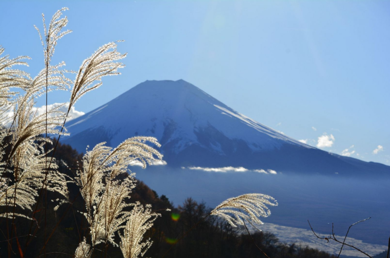 Japán gazdagon - tavaszindító körút cseresznyevirágzással - csoportos körutazás 2025