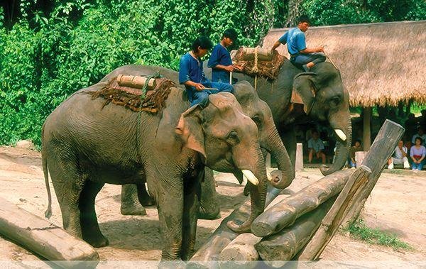 Körutazás Bangkoktól Észak-Thaiföldig és pihenés Krabi tengerpartján