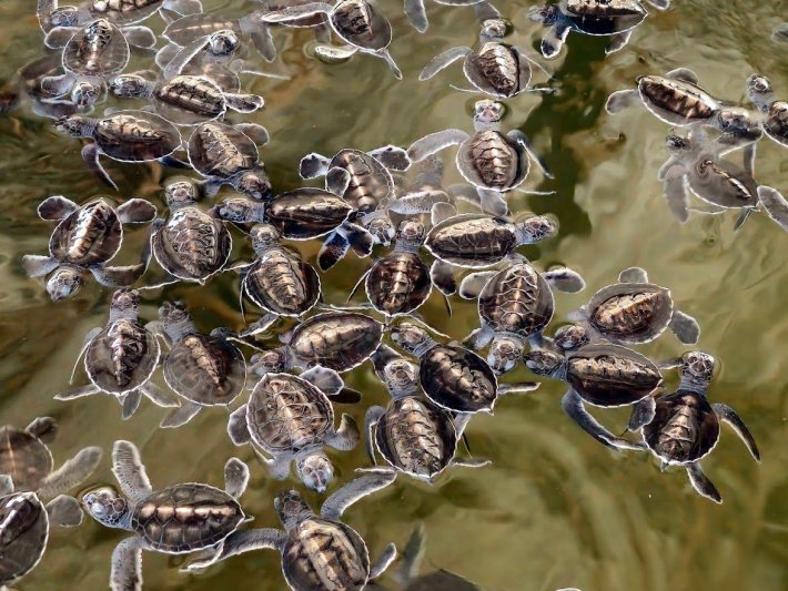 Prémium körutazás Srí Lankán