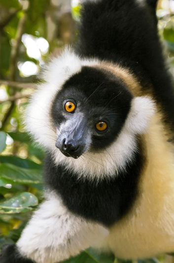 Tavaszi körutazás Madagaszkár déli tájain