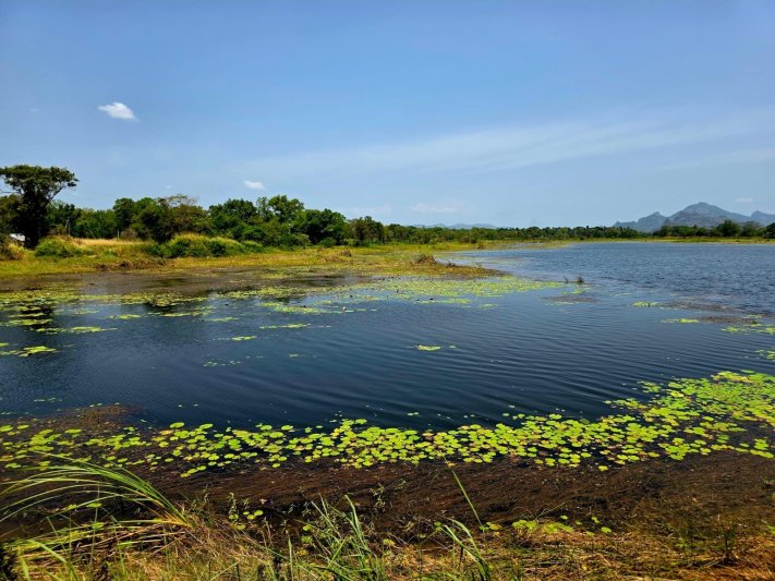 Belső utazás és Srí Lanka csodái - Kőváry Anett jógaterapeutával