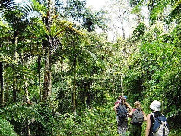 Észak-Madagaszkár felfedezése pihenéssel
