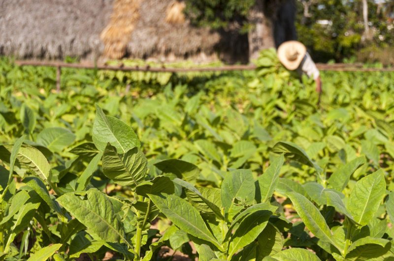 Felfedezőúton Kubában pihenéssel Cayo Santa Maria szigetén