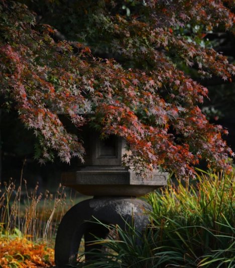 Japán gazdagon - az ősz színeiben, csoportos körutazás