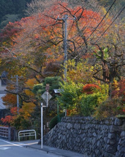 Japán gazdagon - az ősz színeiben, csoportos körutazás