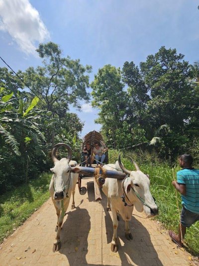 Körutazás Srí Lankán, pihenéssel a tengerparton