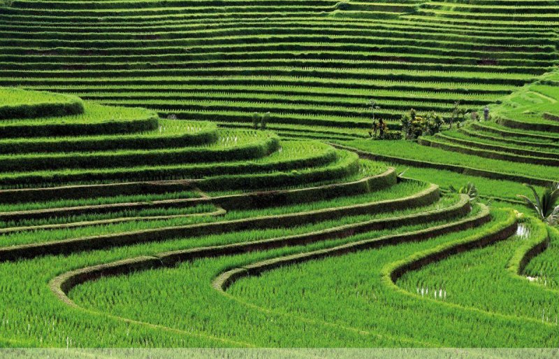 Látogatás Szingapúrban, Jáva és Bali szigetén