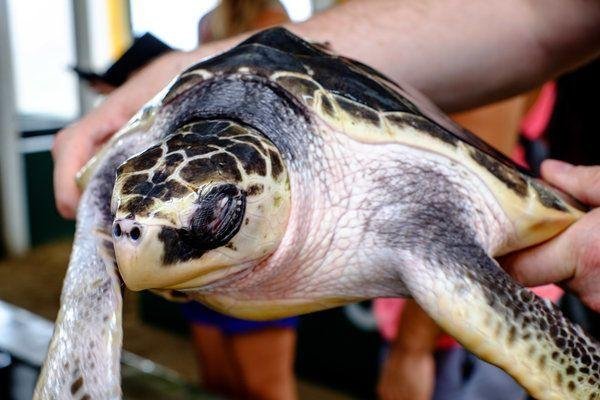 Srí Lanka az őszi szünetben - csoportos körutazás 2025