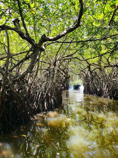 Srí Lanka az őszi szünetben - csoportos körutazás 2025