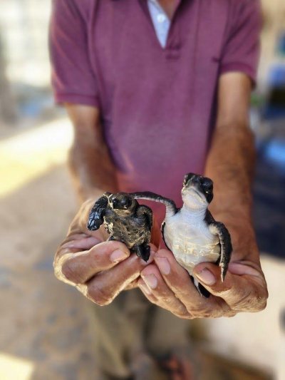 Srí Lanka esszenciája - az örökségtől a felföldekig