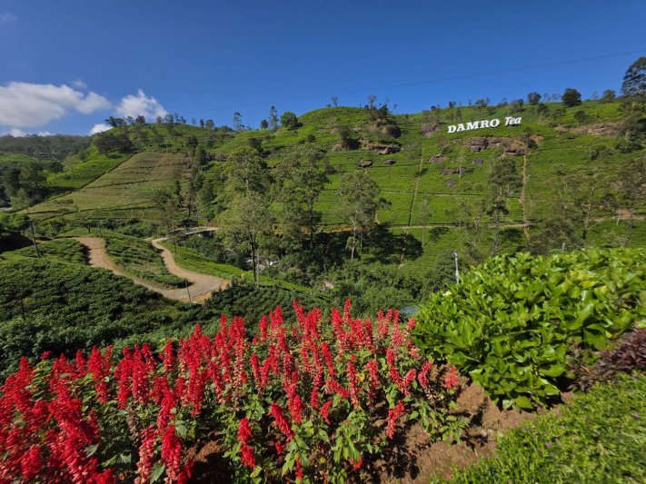 Srí Lanka februárban - Ceyloni krónikák