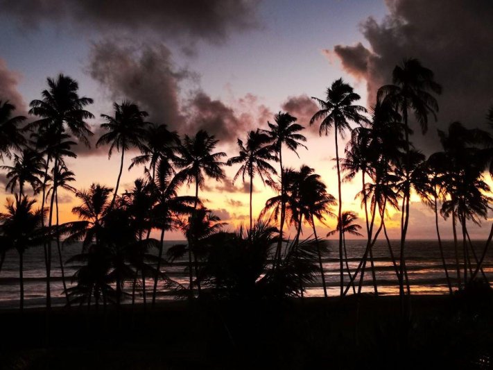 Srí Lanka februárban - Ceyloni krónikák