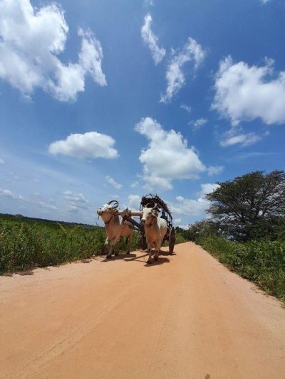 Srí Lanka februárban - Ceyloni krónikák