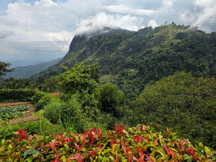 Srí Lanka-i kalandozás a nyári szünetben