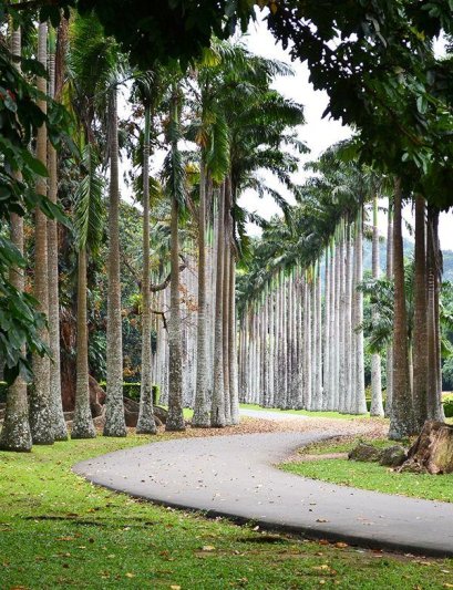 Srí Lanka körutazás Maldív-szigeteki pihenéssel