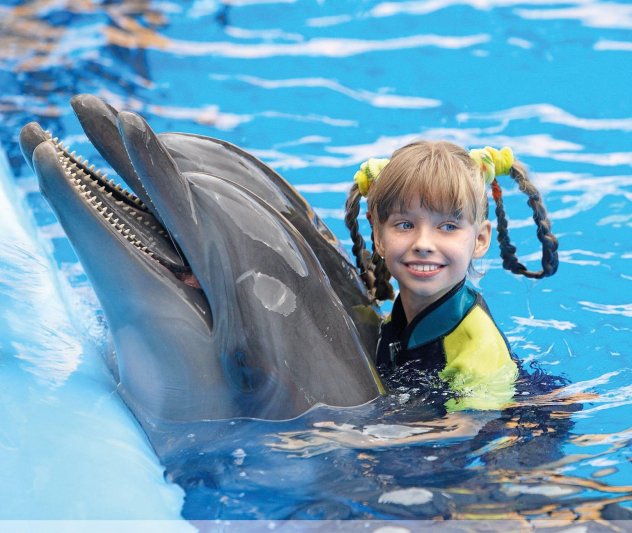 Szilveszter Floridában