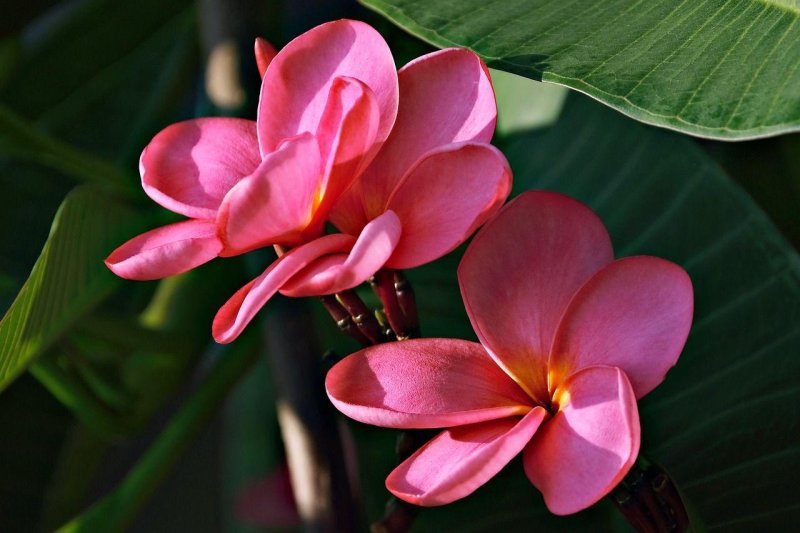 Szilveszteri mini körút és tengerparti nyaralás Dél-Vietnámban