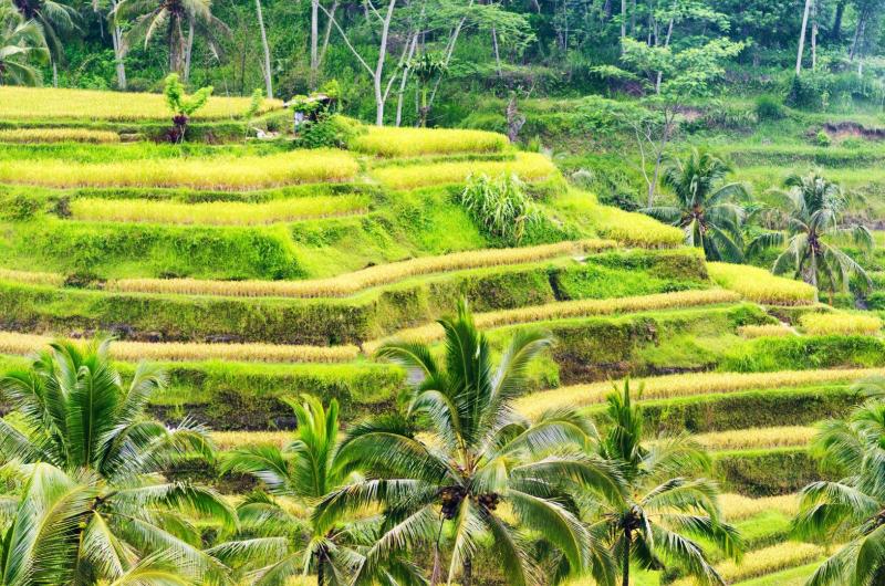 Bali, Lombok, Gili Trawangan