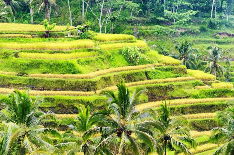 Bali, Lombok, Gili Trawangan