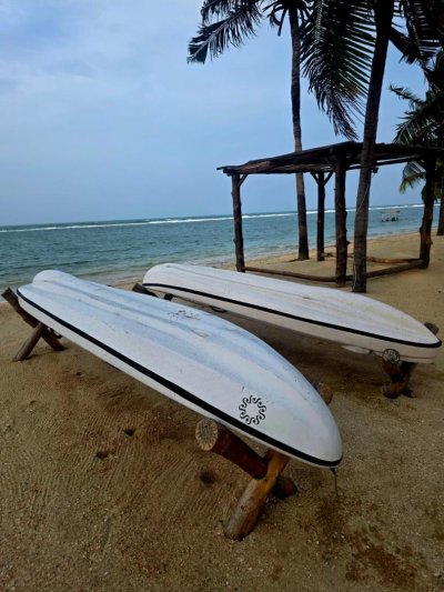 Ceylon aranya - őszi szünet a Smaragd-szigeten