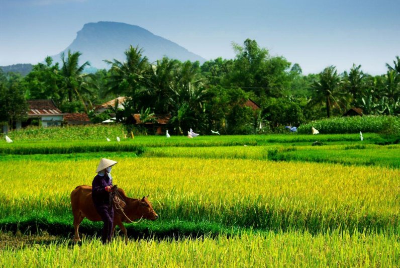 Dél-Vietnam, Kambodzsa és Bangkok felfedezése thaiföldi trópusi pihenéssel szilveszterkor