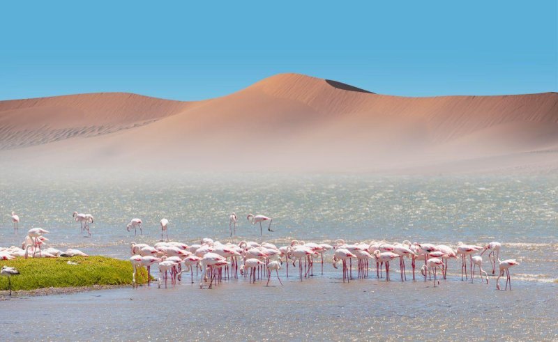 Homokdűnék, tengerpartok, sivatagi naplementék - Namíbia és a Seychelle-szigetek egy kalapban