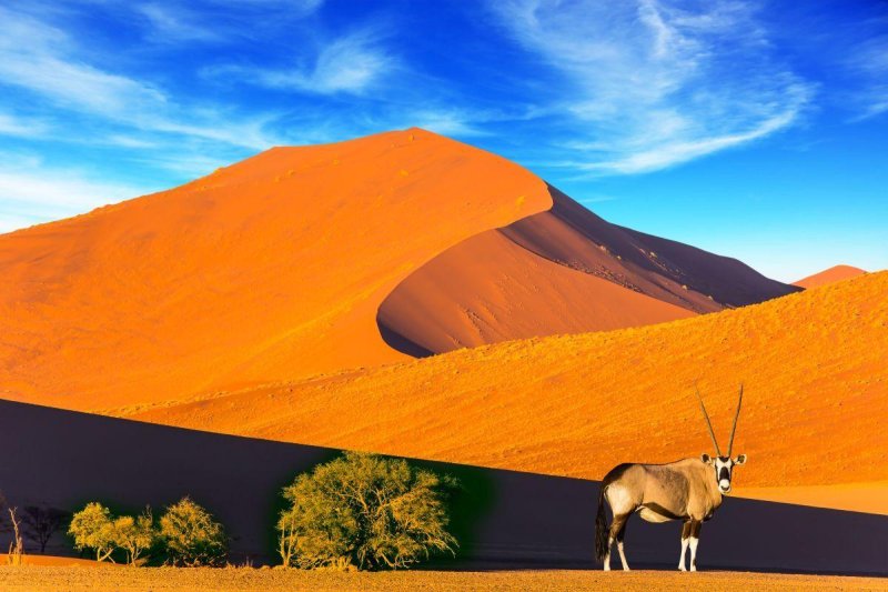 Homokdűnék, tengerpartok, sivatagi naplementék - Namíbia és a Seychelle-szigetek egy kalapban