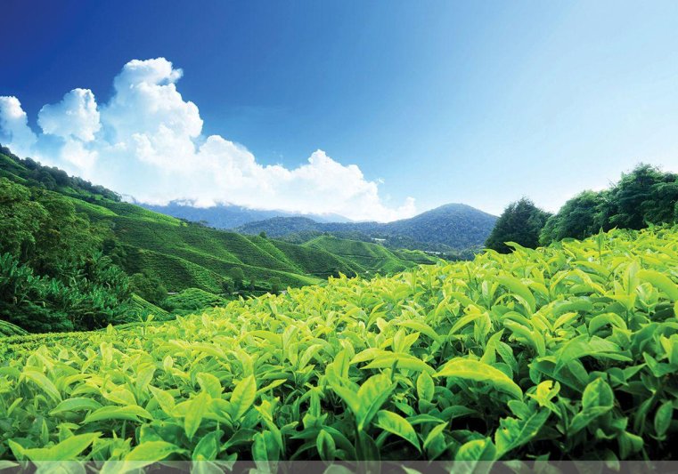 Kalandozás Szingapúrban és Malajziában pihenéssel Langkawi szigetén