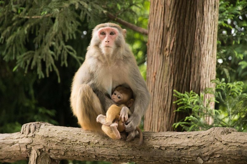 Kína ikonikus csodái - Tibet misztikuma, hajózás a Jangcén és Zhangjiajie lebegő hegyei csoportosan