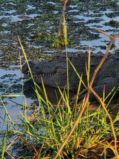 Körutazás Srí Lankán, pihenéssel a Maldív-szigeteken, Kőváry Anett jógaterapeutával