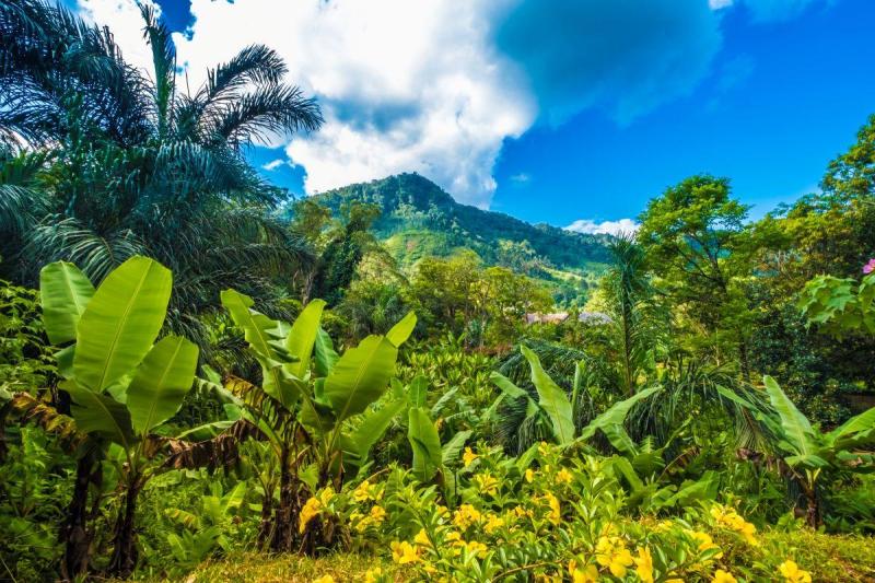 Madagaszkári kalandok pihenéssel a Seychelle