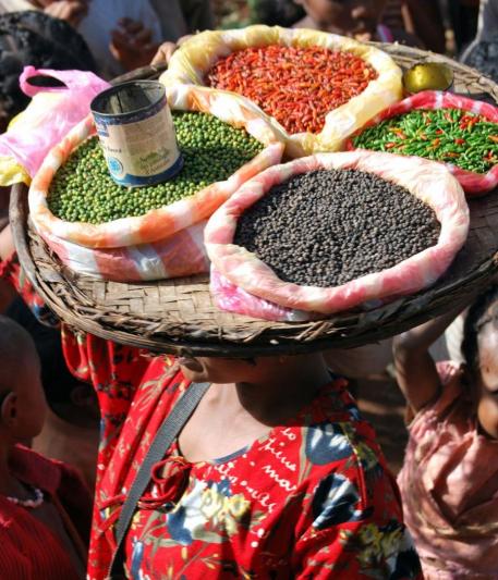 Madagaszkári kalandok pihenéssel a Seychelle