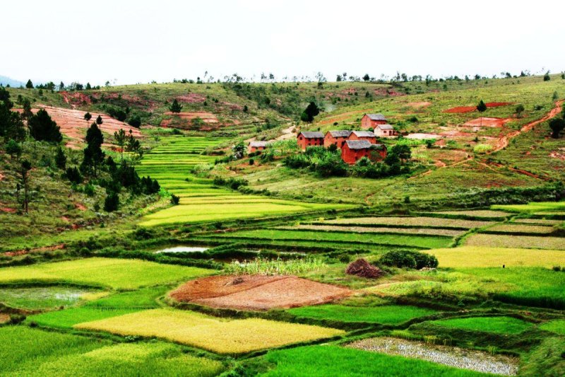 Madagaszkári kalandok pihenéssel a Seychelle-szigeteken - 2026. november