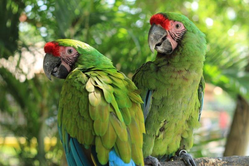Őszi szüneti kalandozás a Yucatán