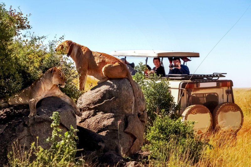 Serengeti szafari program pihenéssel Zanzibár szigetén - 2027. január