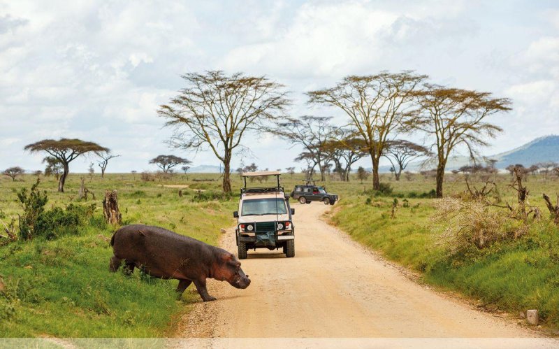 Serengeti szafari program pihenéssel Zanzibár szigetén - 2027. január